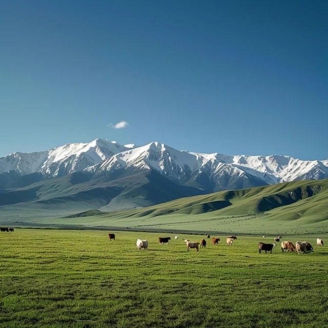呼伦贝尔夏季旅游攻略:必游草原风光与特色美食