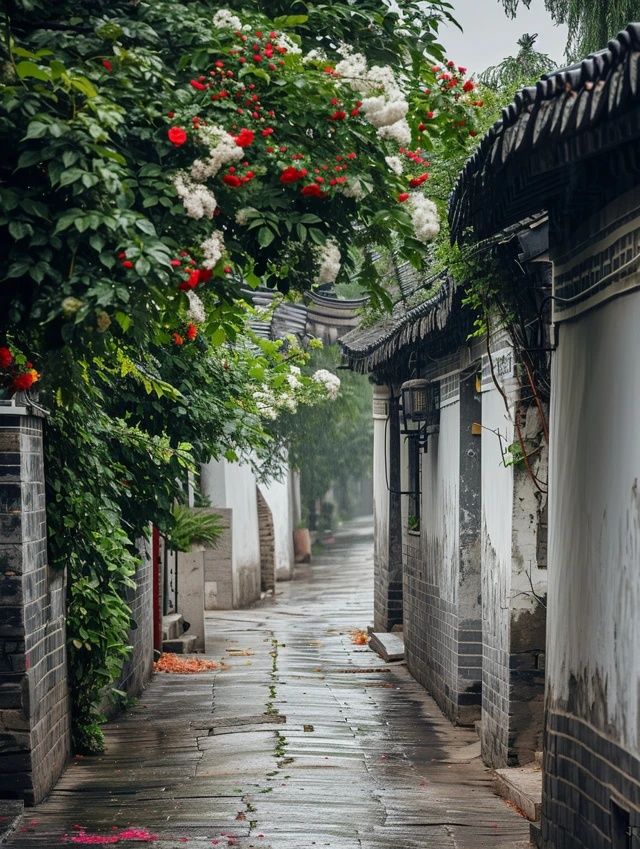 视障朋友们的扬州游记:用心感受生活的美丽瞬间