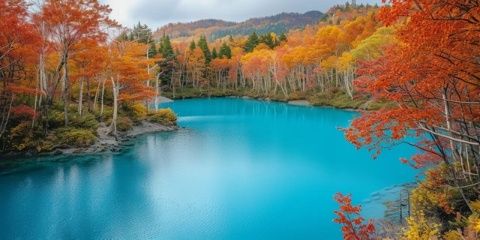 九寨沟探秘攻略:自然风光之旅的详细指南