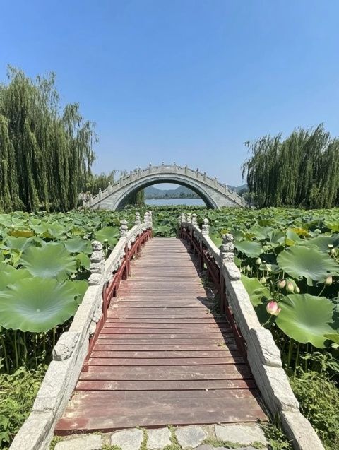 合肥旅游景点合集!带你玩遍合肥热门旅游地,速速马住!