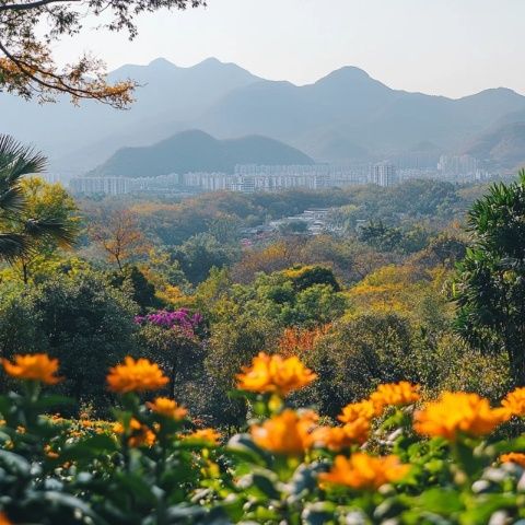 云南腾冲小众旅游指南:避开热门城市,体验宁静之美