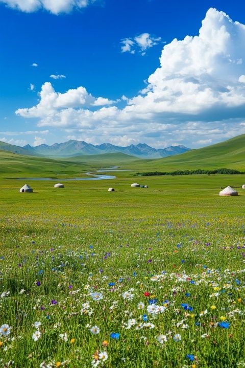 呼伦贝尔旅游攻略:必去景点+实用建议,让你的旅程不留遗憾!