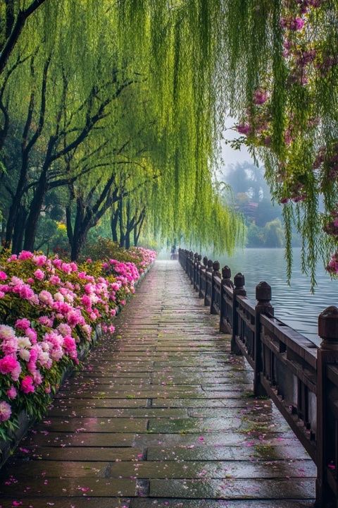 董家口风景区,现在没有门票,离武汉也比较近,这里竹木茂盛,空气清新