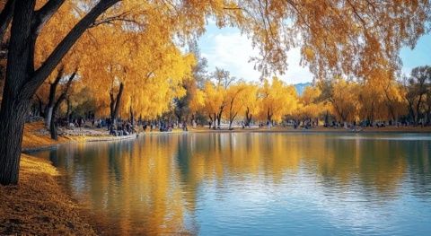 八月至十月初北疆旅行攻略:热门景点时间不对等干白来!