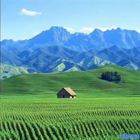 苍溪旅游攻略:古韵自然,美食诱人