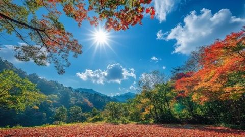 安徽秋游指南:领略自然奇观与人文底蕴的双重盛宴