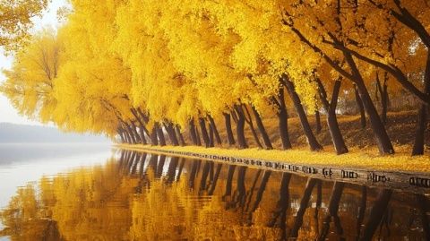 门头沟区位于北京西部山区,是一个拥有丰富历史文化和自然景观的旅游目的地