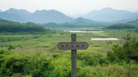 景区门口惊现奇特标识:禁止车辆进入,是为安全还是敛财?