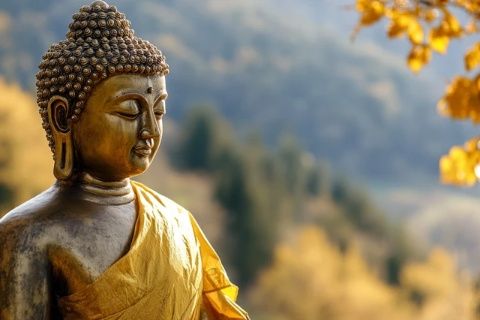 西双版纳旅游指南:探索必去景点的精华攻略