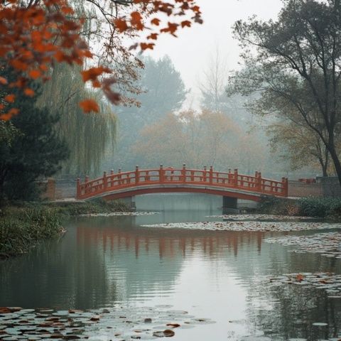 苏州园林的旅游价值与环境保护:传统魅力的守护与现代休闲的共鸣