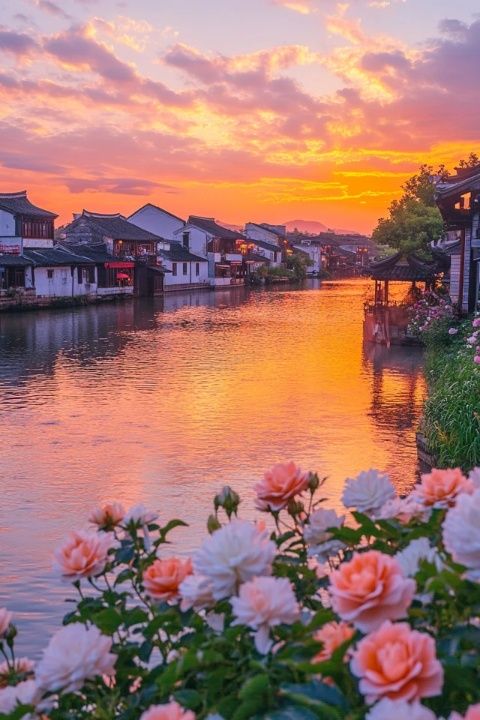 杭州三四月的绚丽花海:春游赏花指南