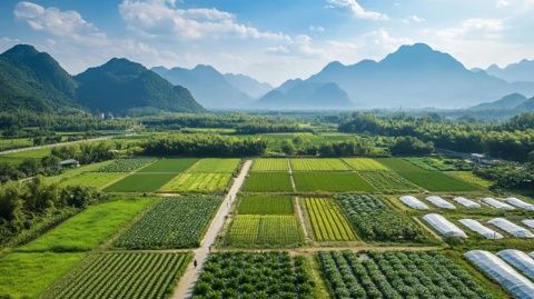 玉林五彩田园:一座集现代特色农业于一体的旅游热点