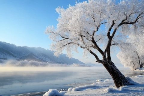 银川冬天旅游攻略-银川冬季旅游攻略