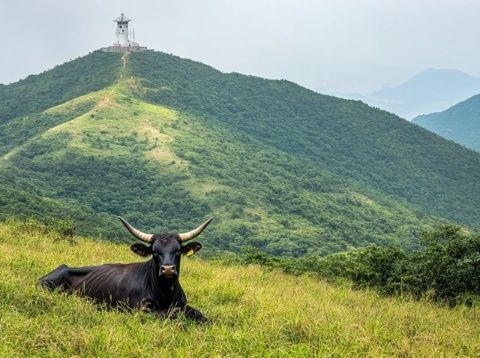 汕头夏日游玩指南:海岛、公园与美食的自驾之旅