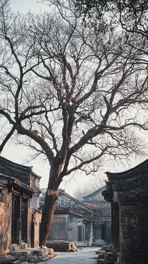 深度游梅河口冬季之旅:必知攻略与体验指南