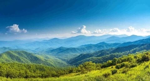 天柱山一日轻松游攻略:探秘自然美景,畅游山巅体验