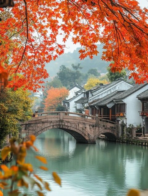 张家界秋冬旅游攻略:11-12月出行指南与必备建议,你好!