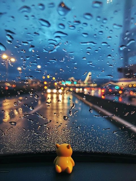雨天行车安全指南:新手必看的技巧与注意事项