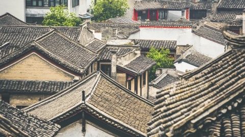 河北白洋淀之旅: 一站到底的保定白洋淀旅游指南