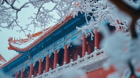 哈尔滨不是东北唯一的亮点，黑龙江也很美。
