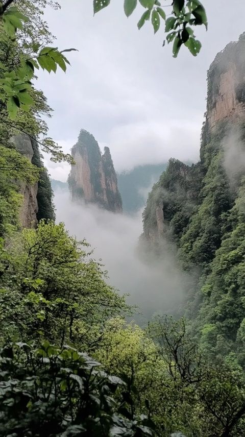 长沙到张家界一日游指南:如何从长沙出发前往张家界最快?