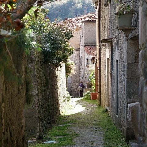 大理旅游攻略:交通景点美食住宿与游玩路线推荐