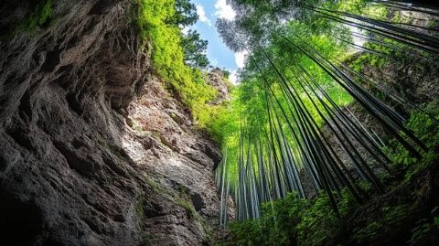 广东揭阳附近旅游攻略(广东揭阳旅游推荐)