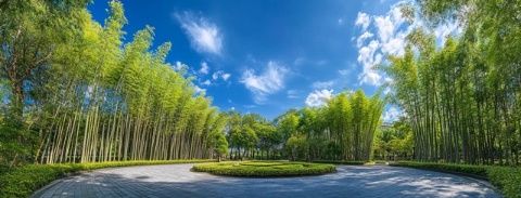 杭州云栖竹径:武侠风竹林秘境游推荐