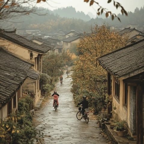 王莽岭旅游路线攻略,不按照此攻略路线走,王莽岭就白去了
