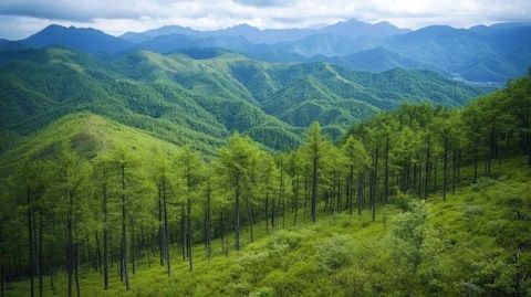 灵寿县漫山花溪谷:新晋网红景区等你来探索