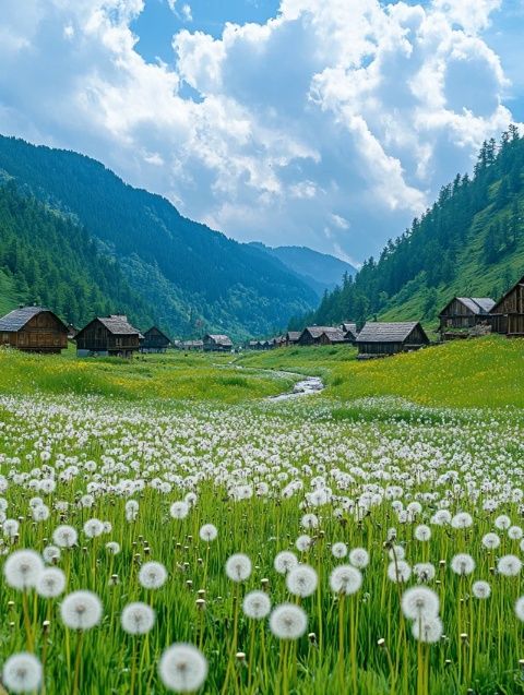 西藏的旅行总是充满了神秘与美丽,但有些地方却让人感到无奈