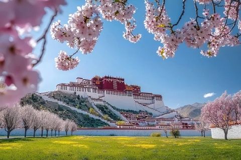 北京一出租车司机接了个韩国大单：去拉萨！