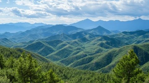 四川自贡旅游景点推荐-四川自贡旅游景点攻略