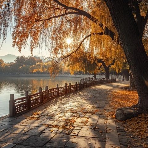 北京四季旅游攻略：春赏花秋观景，各季魅力独特