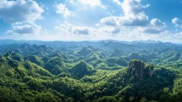 庐山景区新战略:提升旅游服务与治理效能,开创双网并行新模式