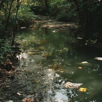 水流污染令热门景区冷清下来