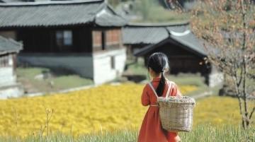 甘南旅游全攻略:五一假期必看,九色甘南畅游指南!