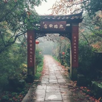 探寻武夷山的诗意与远方:一份必藏的旅行指南