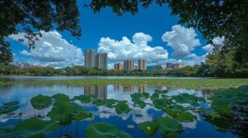 色彩斑斓的广州中新知识城凤凰湖(广州中新知识城旅游)