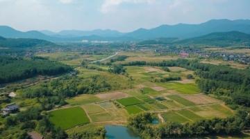 揭秘宜昌黄花镇免门票旅游线路:历史、科学与自然的完美交融