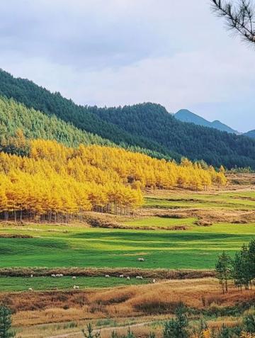 最佳时间去新疆旅游:四季美景全攻略