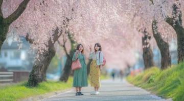 春季踏青攻略:春游传统活动,赏美景,享自然之旅
