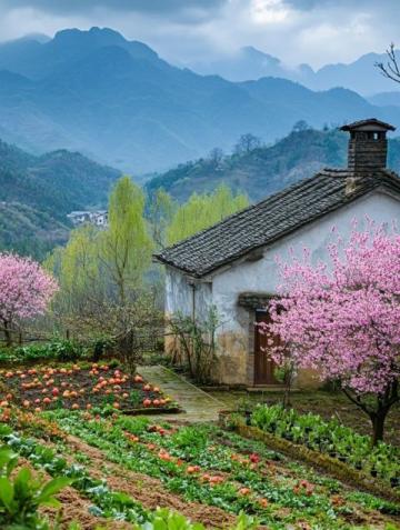 内循环下,乡村旅游如何把握发展机遇?