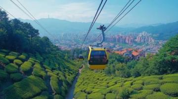 连云港花果山旅游攻略:探秘仙境与猴群互动