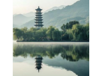 杭州六天五晚旅行攻略：跟团vs自由行，游玩路线大揭秘