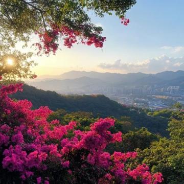 深圳旅游攻略:特种兵营训练基地必看景点