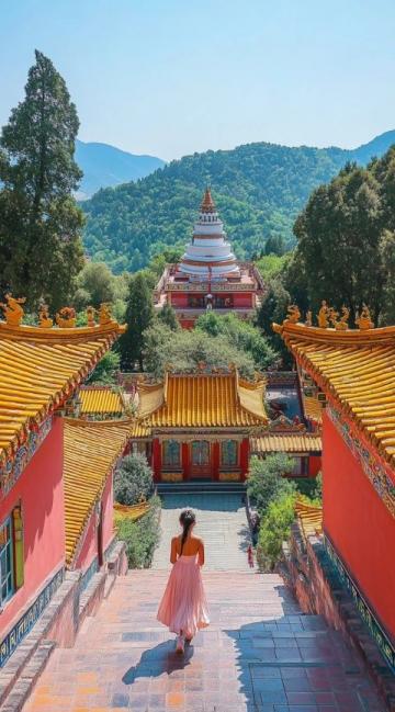 普陀山游览指南:探索佛教圣地的必备知识与景点推荐