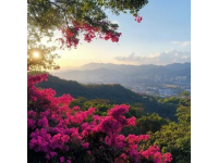 深圳旅游攻略：特种兵营训练基地必看景点