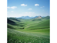 五一假期去呼伦贝尔旅游合适吗？