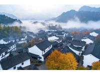 探索婺源油菜花海与徽派古建筑：反向旅游自驾攻略
